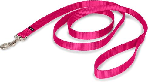 PetSafe Nylon Dog Leash – Strong, Durable, Traditional Style Leash with Easy to Use Bolt Snap for Small, Medium and Large Dogs – 3/8" x 6', Royal Blue in Saudi Arabia