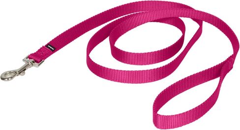 PetSafe Nylon Dog Leash – Strong, Durable, Traditional Style Leash with Easy to Use Bolt Snap for Small, Medium and Large Dogs – 3/8" x 6', Royal Blue in Saudi Arabia