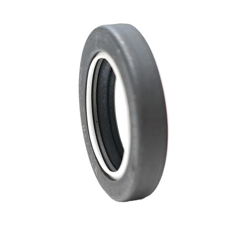 رمح M36121R ختم النفط 25.4*38.1 6.071 مللي متر B2PT نوع PTFE + Q235 المطاط الفولاذ المقاوم للصدأ الهيكل العظمي الأختام. 5 0.239 بوصة in Kuwait