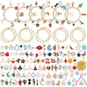 Tondiamo 173 Pieces Bracelet Jewelry Making Kit 100 Assorted Bracelet Charms 60 Jump Rings and Tools for Women Jewelry Making Crafts DIY Necklace Bracelet Earring Craft Supplies Craft Beginner in Kuwait