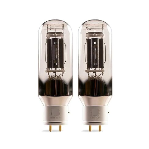 845-DG 845DG 845 طقم مضخم صوت أنبوبي مفرغ مع أربع قنوات (2 قطعة) in Kuwait