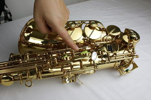 Anfree Alto Saxophone Body Swab-Blue in Saudi Arabia