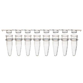 Extragene™ PCR Strip Tube 0.2 ml Clear Flat Caps Thin Wall, Strip of 8 Tubes, DNase/RNase Free Pk x 125 Strips in Kuwait