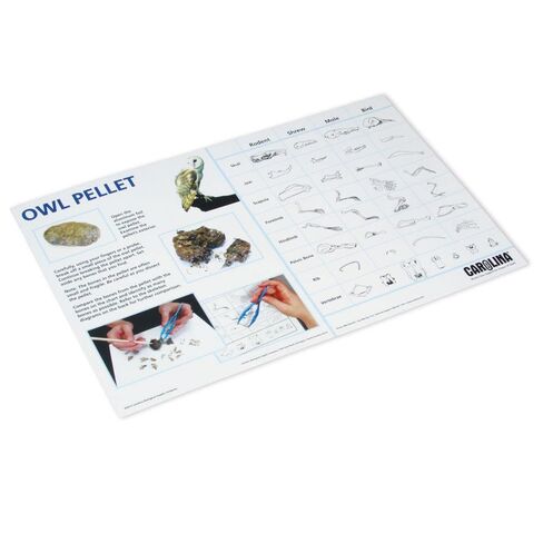 Carolina® Owl Pellet Dissection Mat in Saudi Arabia