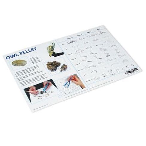 Carolina® Owl Pellet Dissection Mat in Saudi Arabia