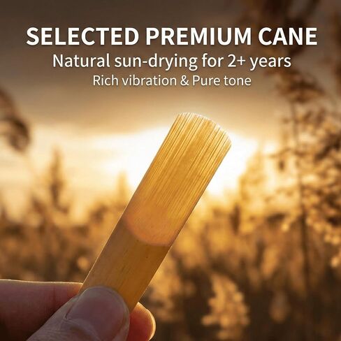 Bb Clarinet Reeds Strength 2.5-10 Pack B من قصب الكلارينيت المسطحة، مغلفة بشكل فردي بحافظة بلاستيكية - نغمة احترافية واضحة، مثالية للمبتدئين والطلاب وفرقة المدرسة in Kuwait