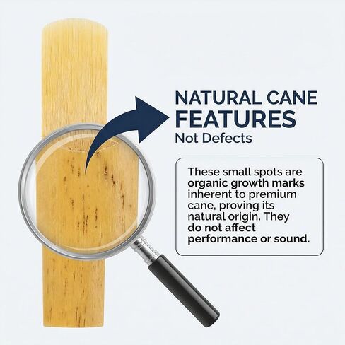 Bb Clarinet Reeds Strength 2.5-10 Pack B من قصب الكلارينيت المسطحة، مغلفة بشكل فردي بحافظة بلاستيكية - نغمة احترافية واضحة، مثالية للمبتدئين والطلاب وفرقة المدرسة in Kuwait