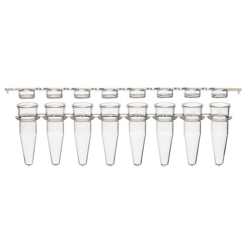 Extragene™ PCR Strip Tube 0.2 ml Clear Flat Caps Thin Wall, Strip of 8 Tubes, DNase/RNase Free Pk x 125 Strips in Kuwait