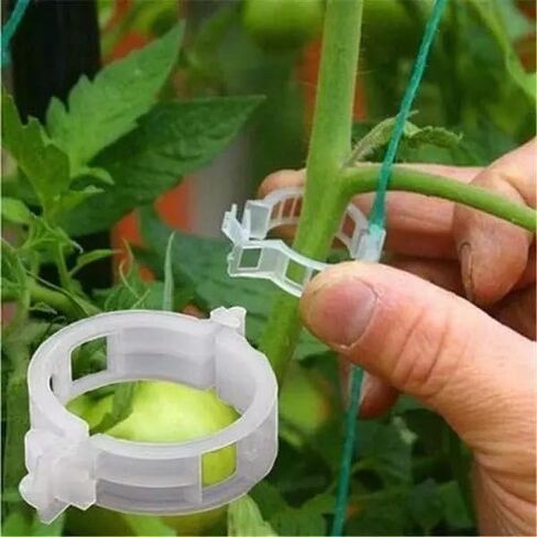 50 Pcs Plastic Trellis Plant Support Clips for Support, Grape and Tomato Vine, Vegetables Plants, Garden Clips to Grow Upright Makes Plants Healthier (Clear) in Saudi Arabia