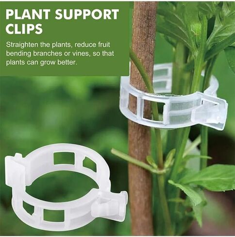 50 Pcs Plastic Trellis Plant Support Clips for Support, Grape and Tomato Vine, Vegetables Plants, Garden Clips to Grow Upright Makes Plants Healthier (Clear) in Saudi Arabia