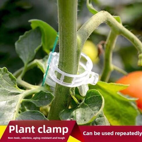 50 Pcs Plastic Trellis Plant Support Clips for Support, Grape and Tomato Vine, Vegetables Plants, Garden Clips to Grow Upright Makes Plants Healthier (Clear) in Saudi Arabia