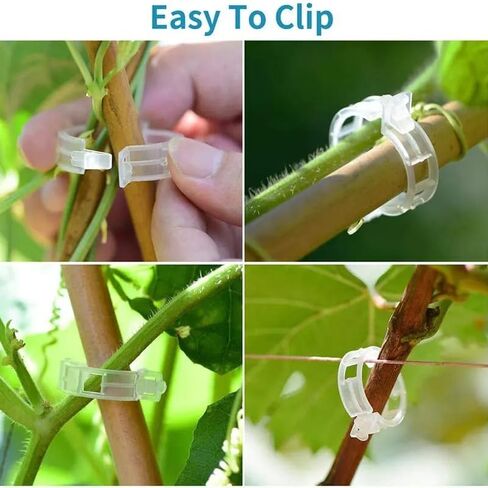 50 Pcs Plastic Trellis Plant Support Clips for Support, Grape and Tomato Vine, Vegetables Plants, Garden Clips to Grow Upright Makes Plants Healthier (Clear) in Saudi Arabia