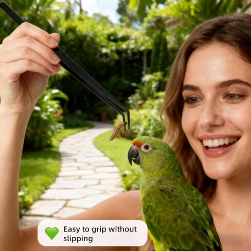 ملاقط احترافية لأحواض السمك، من الفولاذ المقاوم للصدأ المتفحم باللون الأسود، طرف مسنن، تصميم منحني لتغذية الزواحف، صيانة الخزان، ملقط تغذية الزواحف المضاد للانزلاق للنباتات المائية والسحالي والثعابين in Kuwait