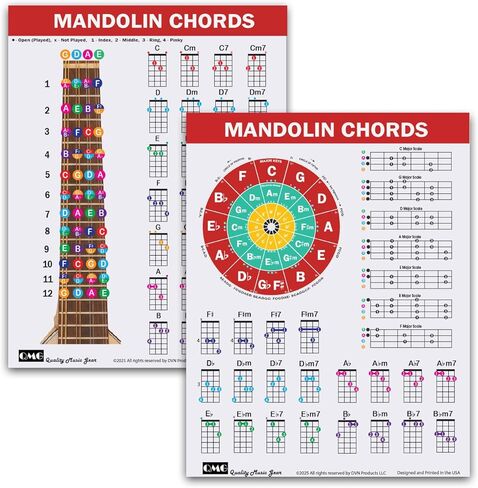 QMG Mandolin Chord & Scale Chart - الحبال الرئيسية والصغرى والسابعة والصغرى لجميع المفاتيح، 7 موازين المندولين الأساسية، دائرة الأخماس، مخطط مرجعي مصفح، 8.5 بوصة × 11 بوصة، صنع في الولايات المتحدة الأمريكية in Saudi Arabia