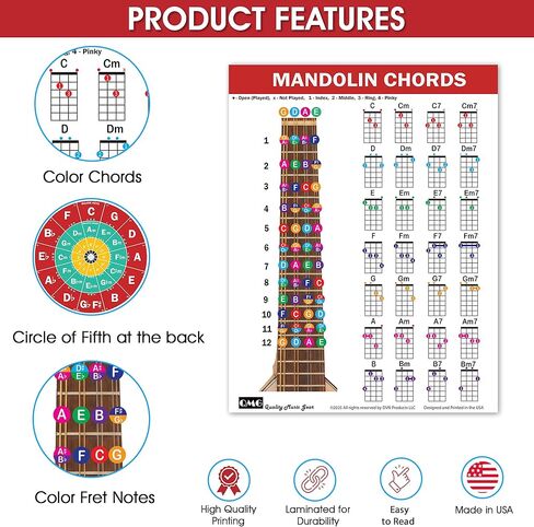 QMG Mandolin Chord & Scale Chart - الحبال الرئيسية والصغرى والسابعة والصغرى لجميع المفاتيح، 7 موازين المندولين الأساسية، دائرة الأخماس، مخطط مرجعي مصفح، 8.5 بوصة × 11 بوصة، صنع في الولايات المتحدة الأمريكية in Saudi Arabia