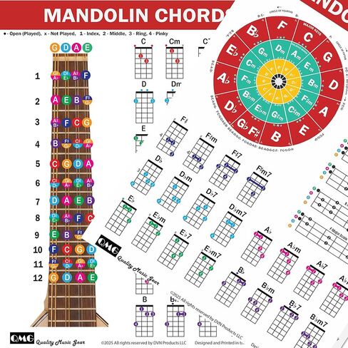 QMG Mandolin Chord & Scale Chart - الحبال الرئيسية والصغرى والسابعة والصغرى لجميع المفاتيح، 7 موازين المندولين الأساسية، دائرة الأخماس، مخطط مرجعي مصفح، 8.5 بوصة × 11 بوصة، صنع في الولايات المتحدة الأمريكية in Saudi Arabia