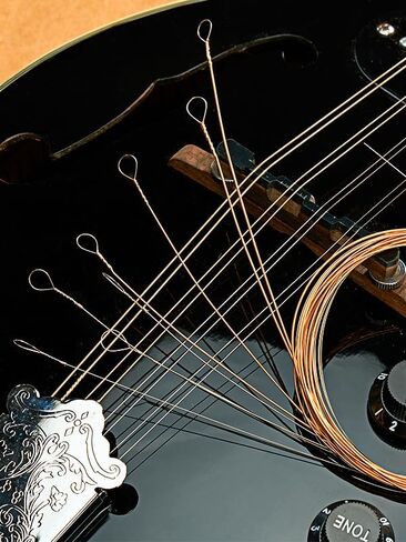 Mandolin Strings, Vaccum-Sealed Packing Extended Life, for Mandolin- 90/10 Bronze Wound, Coated, Loop End, Hex Carbon Steel Core, Medium Gauge, 11-40 in Kuwait