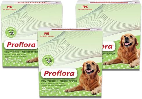 Proflora Probiotics for Dogs-Complete Gut Health & Immune Support. Easy to Use Digestive Multi-Strain Probiotics. Easier Diet Transitions, Healthier Skin & Coat & Helps Treat Diarrhea. 30 Packets. in Kuwait