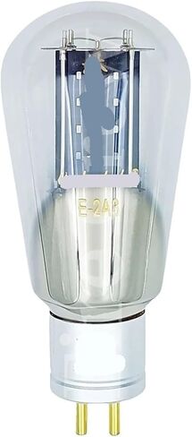 E-2A3 E2A3 Tube Upgrade WE2A3 2A3C 2A3B 2A3 2A3T HiFi Audio Tube Amplifier DIY Matching(2pcs Matched Pair) in Saudi Arabia