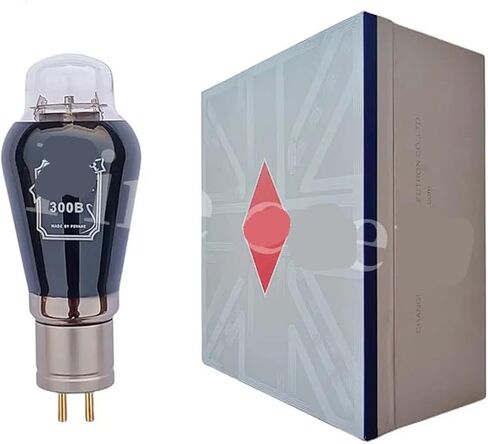 300B Tube Replacement WE300B 4300B 300BT PX300B 7300B 300BN HiFi Audio Tube Amplifier DIY(1 pcs) in Saudi Arabia
