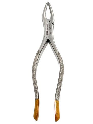 ملقط استخلاص الأسنان رقم 69، مقبض عالي الجودة، مصنوع من الفولاذ المقاوم للصدأ in Kuwait