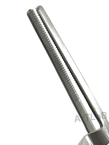 2 German Articulating Paper Forceps Straight Surgical Dental Instrument-A+QULTY in Kuwait