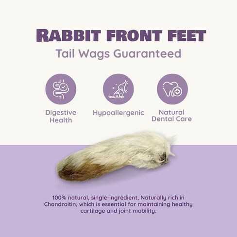 Benji & Louie Air Rabbit Feet - أقدام أمامية أرنب كاملة مع فرو - يعالج الكلب الصحي الطبيعي أو مضغ الكلاب ، مكون واحد ، 2.5 أوقية ، 12 العد in Kuwait