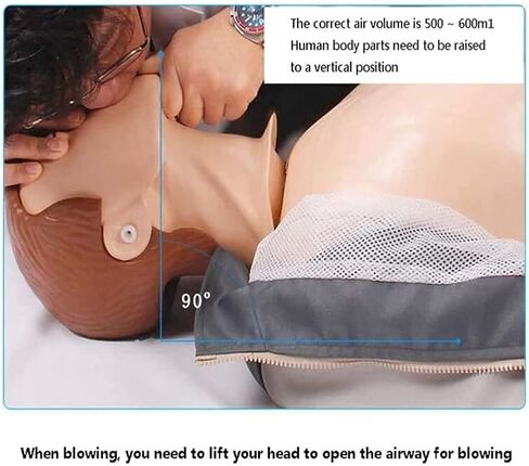 نماذج هيكل عظمي لدمى الإنعاش، قزم للصدمات كامل الوظائف، دمى محاكاة لتدريب الإنعاش القلبي الرئوي لكامل الجسم مع ملحقات طبية، نموذج تدريب على ضغط الصدر in Kuwait