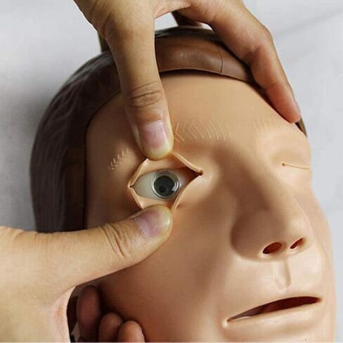 نماذج هيكل عظمي لدمى الإنعاش، قزم للصدمات كامل الوظائف، دمى محاكاة لتدريب الإنعاش القلبي الرئوي لكامل الجسم مع ملحقات طبية، نموذج تدريب على ضغط الصدر in Kuwait