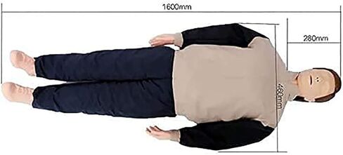 نماذج هيكل عظمي لدمى الإنعاش، قزم للصدمات كامل الوظائف، دمى محاكاة لتدريب الإنعاش القلبي الرئوي لكامل الجسم مع ملحقات طبية، نموذج تدريب على ضغط الصدر in Kuwait