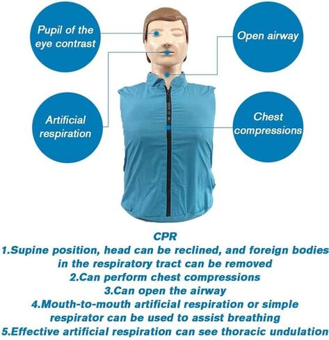 نموذج تعليمي لتدريب الإنعاش القلبي الرئوي، نموذج تدريب احترافي على الإسعافات الأولية لنصف الجسم للبالغين، نموذج طبي لمحاكاة الإنعاش القلبي الرئوي لتعليم المرضى وتعليمهم in Kuwait