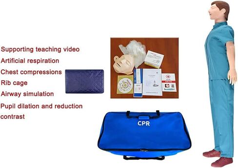 نماذج الهيكل العظمي للإنعاش الدمية للإنعاش القلبي الرئوي لكامل الجسم CPR الإسعافات الأولية التدريب على البحوث التعليمية التعليمية in Saudi Arabia