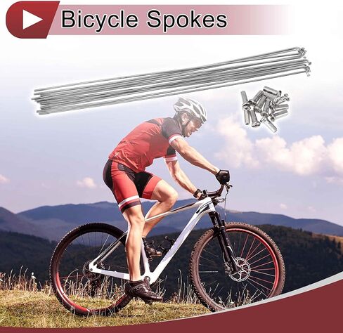 12 Set 14G Bicycle Spokes 287mm Bike Wheel Spokes 304 Stainless Steel Silver Tone in Kuwait