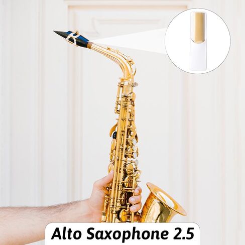 26PCS Alto Saxophone Replacement Kit, 10PCS Alto Saxophone Reeds 2.5, 16PCS Saxophones Mouthpiece Pads for Altos Saxophones Parts and Accessories in Saudi Arabia