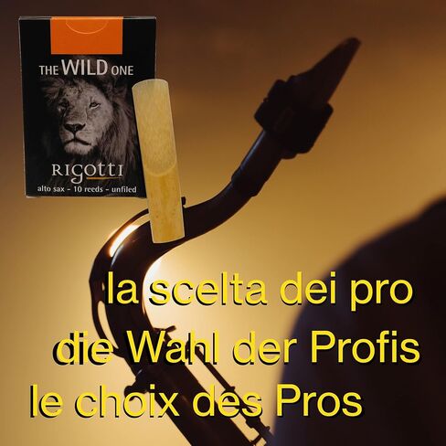 Rigotti Wild Alto Saxophone Reeds - 3 (10-pack) in Kuwait