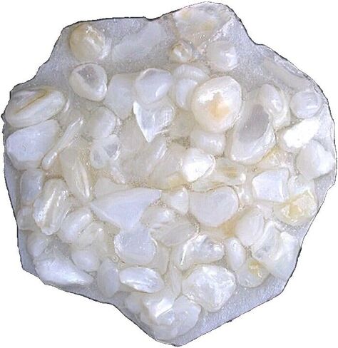 نصف أونصة بدون صبغ أم اللؤلؤ 6 مم وترصيع أقل للرقائق in Kuwait