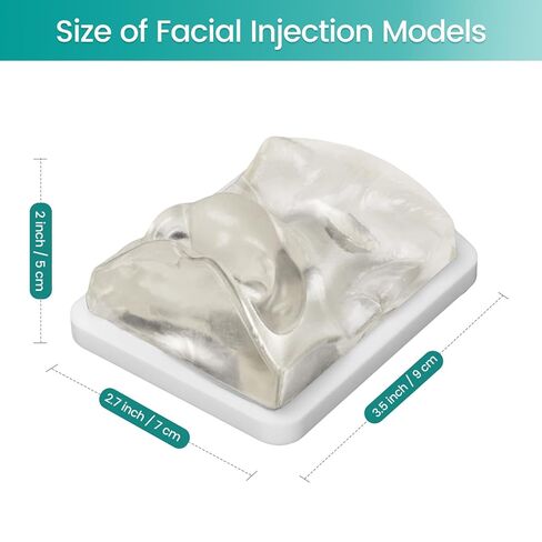 Transparent Facial Injection Model, Facial Training Nose Model for Injection and Filler Practice, Used for Micro Plastic Surgery Teaching, Beautician Teaching, Medical Students Doctors in Kuwait