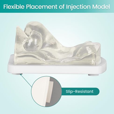 Transparent Facial Injection Model, Facial Training Nose Model for Injection and Filler Practice, Used for Micro Plastic Surgery Teaching, Beautician Teaching, Medical Students Doctors in Kuwait