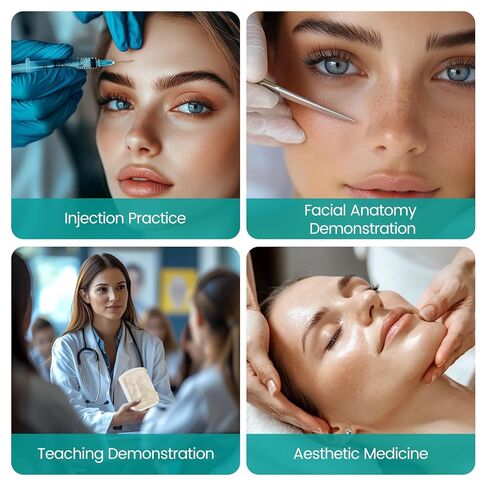 Transparent Facial Injection Model, Facial Training Nose Model for Injection and Filler Practice, Used for Micro Plastic Surgery Teaching, Beautician Teaching, Medical Students Doctors in Kuwait