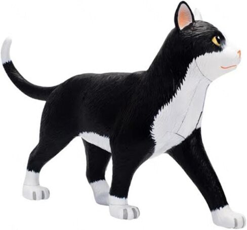 4D Vision Cat Anatomy Model, 28 Parts for Animal Teaching Demonstration Cat Model Anatomy Tool Animal Veterinary Training for Animal Teaching Demonstration in Kuwait