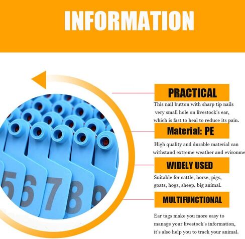 Livestock Identification Numbered Ear Tags 100 Pcs Multicolor Livestock Ear Tags Numbered 001-1000 60x75mm(Blue,1 100) in Saudi Arabia