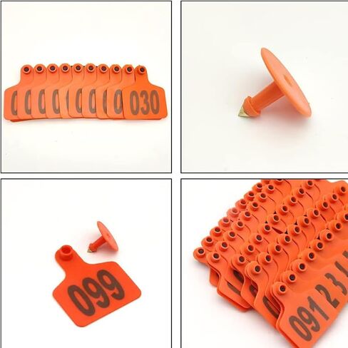 Livestock Identification Numbered Ear Tags 100 Pcs Multicolor Livestock Ear Tags Numbered 001-1000 60x75mm(Orange,101 200) in Saudi Arabia