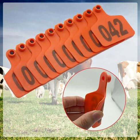 Livestock Identification Numbered Ear Tags 100 Pcs Multicolor Livestock Ear Tags Numbered 001-1000 60x75mm(Orange,101 200) in Saudi Arabia