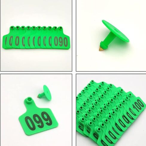 Livestock Identification Numbered Ear Tags 100 Pcs Multicolor Livestock Ear Tags Numbered 001-1000 60x75mm(Green,801 900) in Saudi Arabia