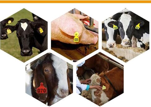 Livestock Identification Numbered Ear Tags 100 Pcs Multicolor Livestock Ear Tags Numbered 001-1000 60x75mm(Green,801 900) in Saudi Arabia