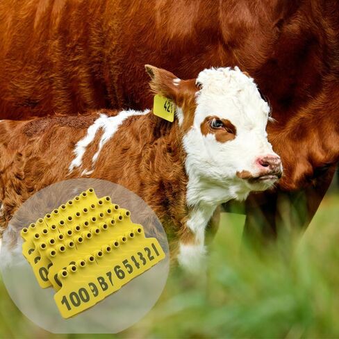 Livestock Identification Numbered Ear Tags 100 Pcs Multicolor Livestock Ear Tags Numbered 001-1000 60x75mm(Yellow,1 100) in Saudi Arabia