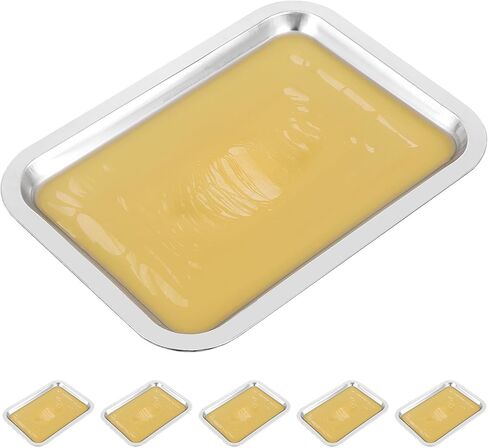 Garneck 6pcs Stainless Steel Dissection Trays, Reusable Lab Wax Laboratory Experiments Dissecting Trays for Educational Use in Saudi Arabia