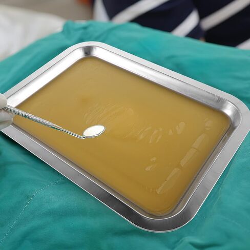 Garneck 6pcs Stainless Steel Dissection Trays, Reusable Lab Wax Laboratory Experiments Dissecting Trays for Educational Use in Saudi Arabia