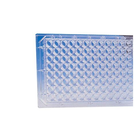 Whatman 7701-5200 Polypropylene Round Bottom 96 Well Uniplate Collection and Analysis Microplate, Natural, 2mL (Pack of 25),Clear in Saudi Arabia