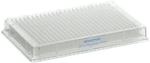 Whatman 7700-2110 Clear Polystyrene 384 Wells Unifilter Microplate with Filter Bottom and Long Drip Director, 100µl, DNA Binding Filter Media (Pack of 50) in Saudi Arabia